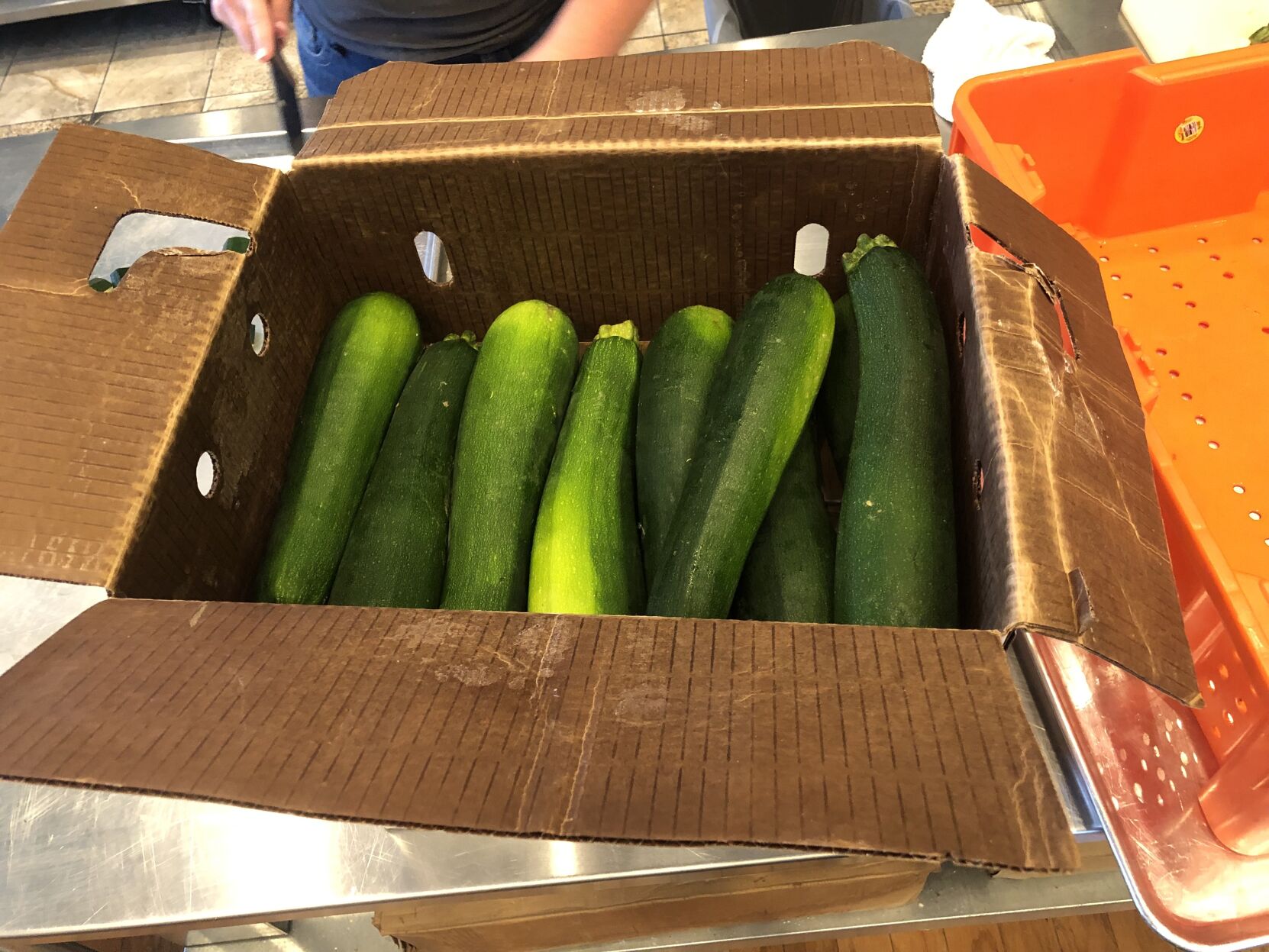 Zucchini